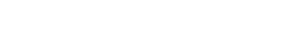Agency Elite Text Logo